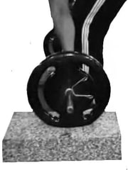 Almofada Amortecimento LPO